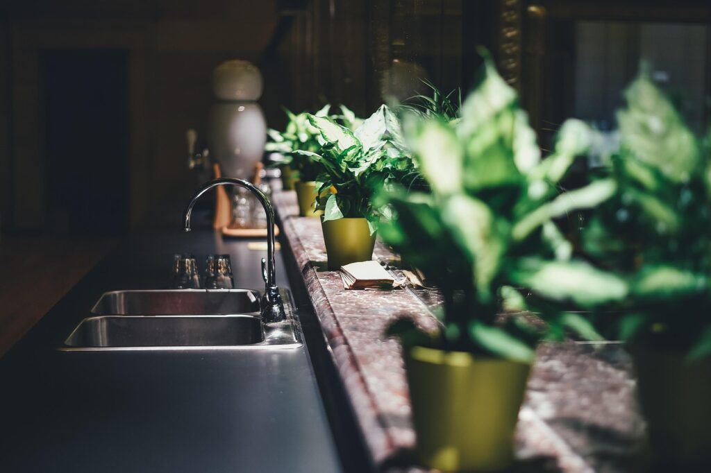 kitchen, tap, sink, faucet, furniture, home, indoors , interior design, interior decoration, tap water, kitchen sink, potted plants, kitchen, kitchen, kitchen, kitchen, kitchen, interior design, Premium Food, Food Vendor near me